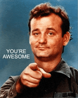 youre awesome bill murray GIF