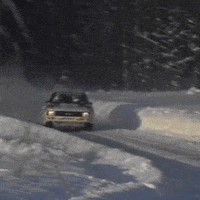 Snow Driving GIF by FIA World Rally Championship
