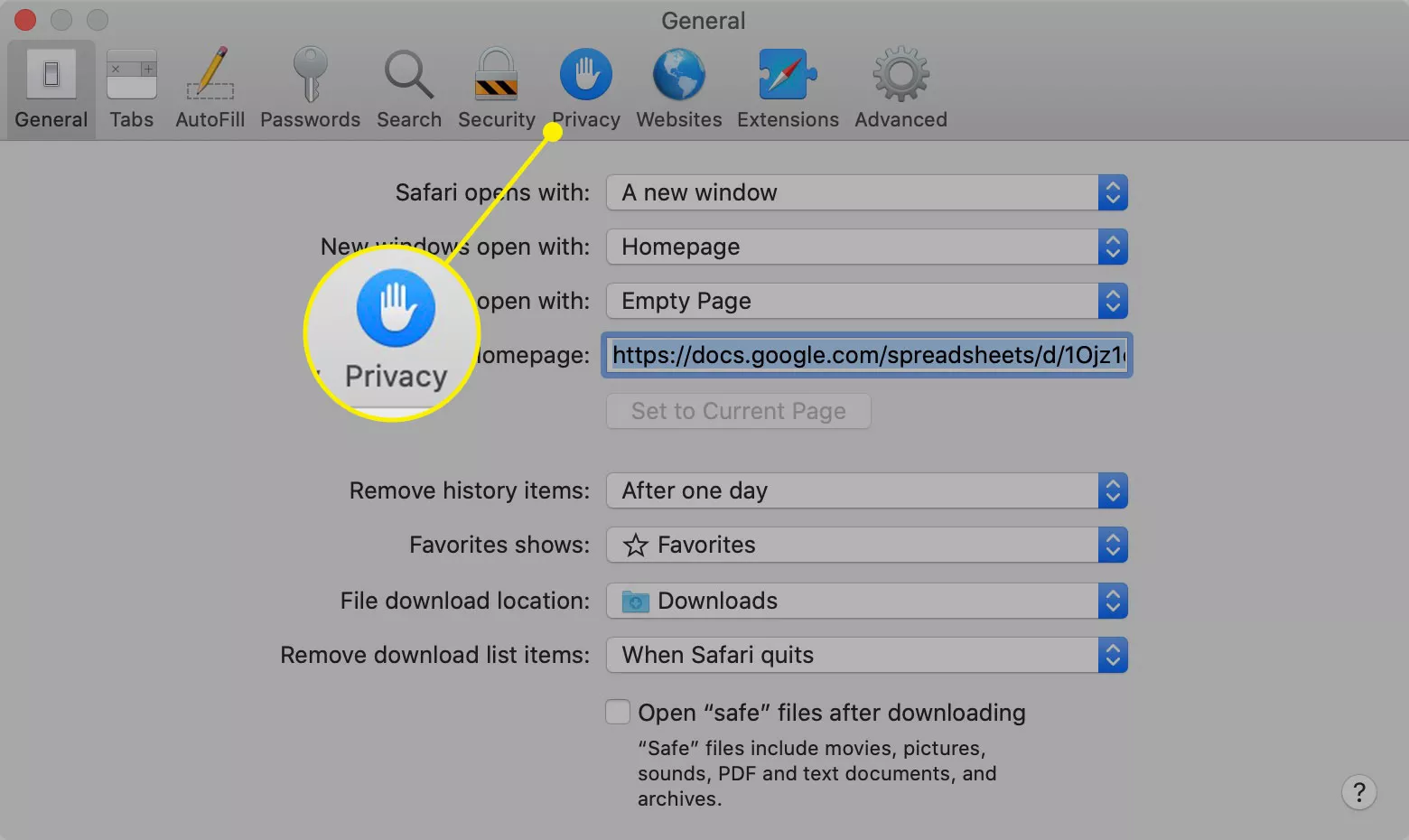 The Privacy tab in Safari preferences