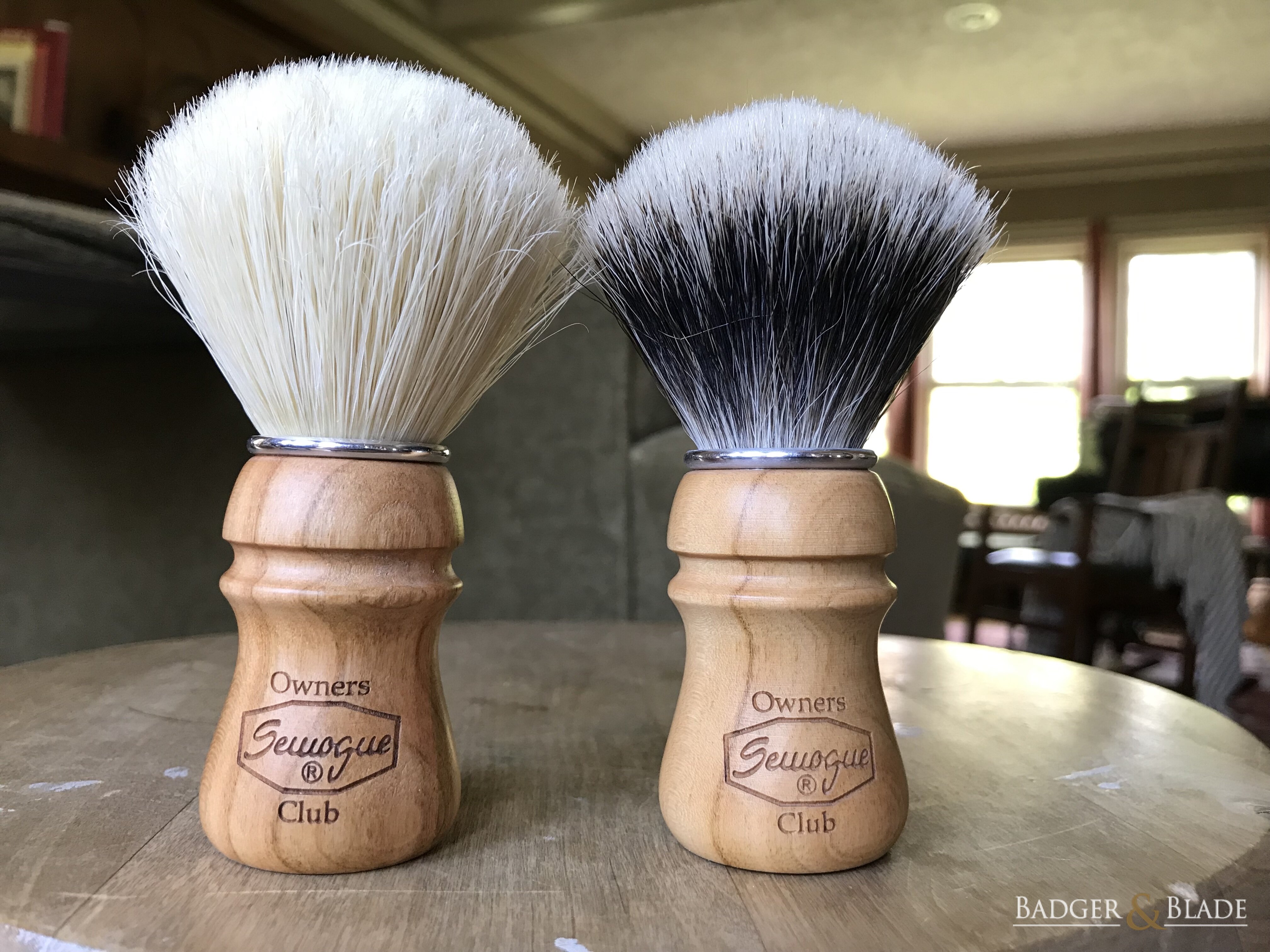 2019-04-13 - Semogue Owners Club Brushes