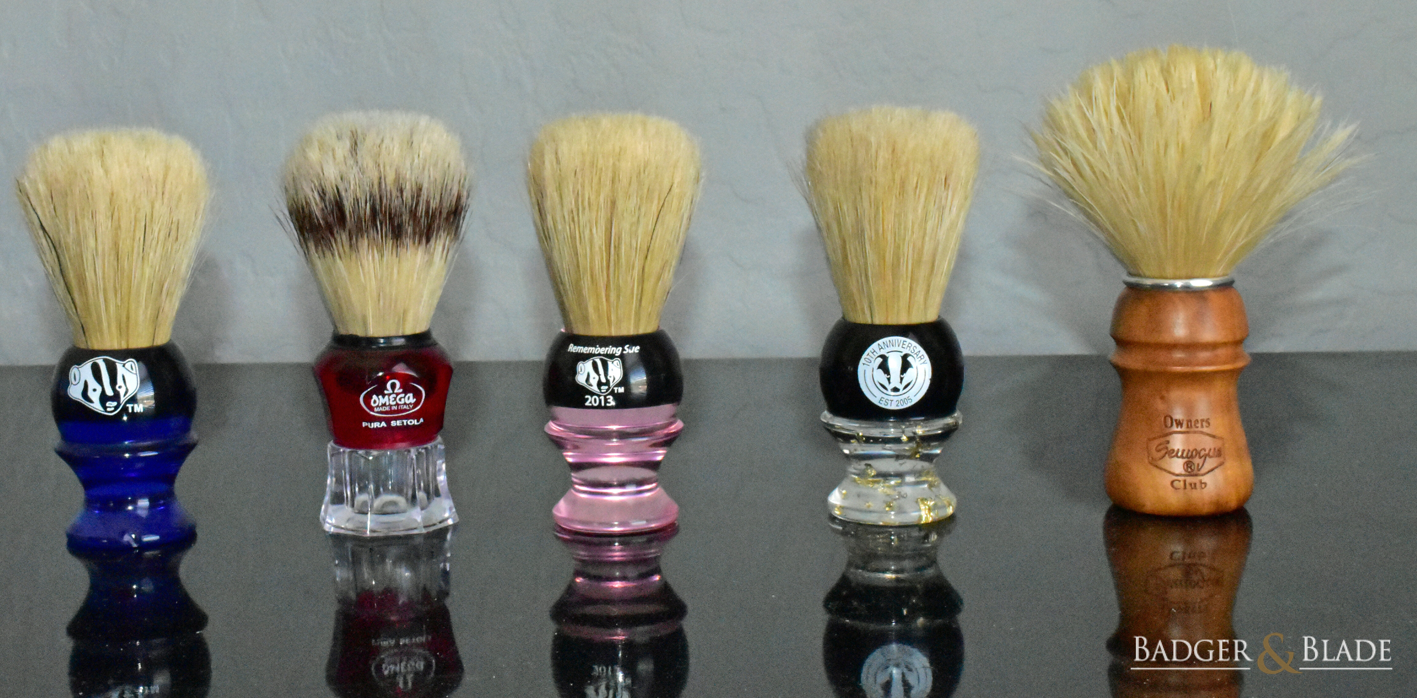 Boar Brushes In Daily Rotation