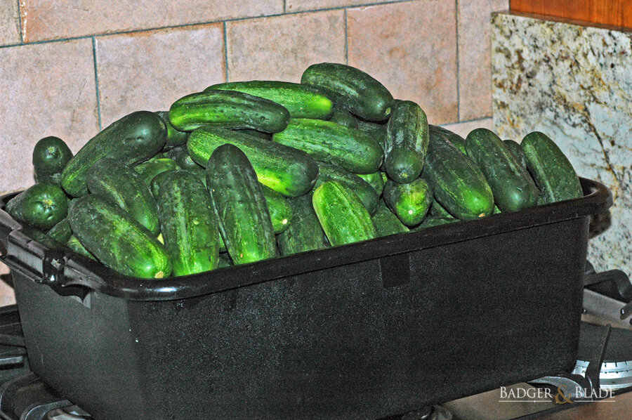 cukes