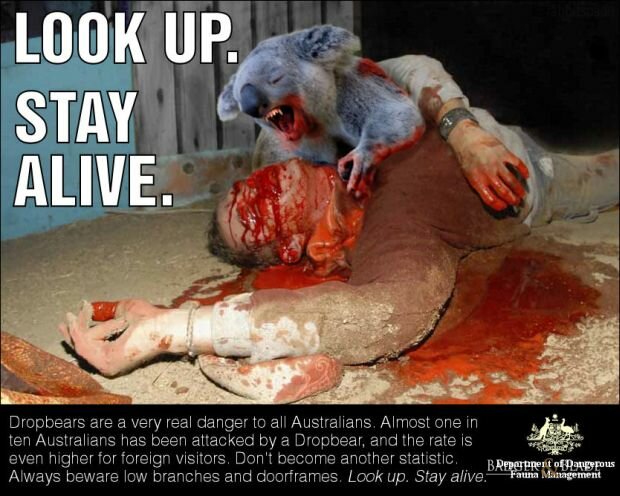 Drop Bear Warning Sign 2011