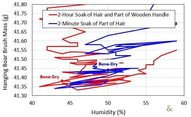 Drying Hanging Boar Brush Mass vs. Humidity