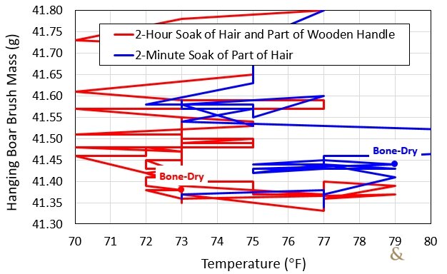 Drying Hanging Boar Brush Mass vs. Temperature