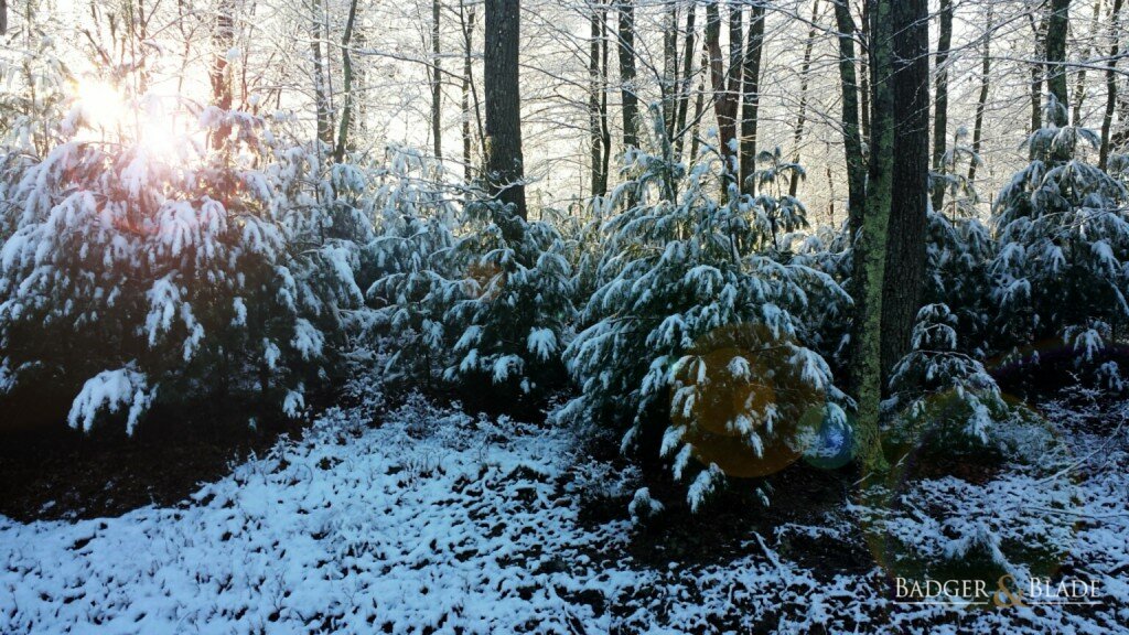 first snow woodsbrook 3 2014