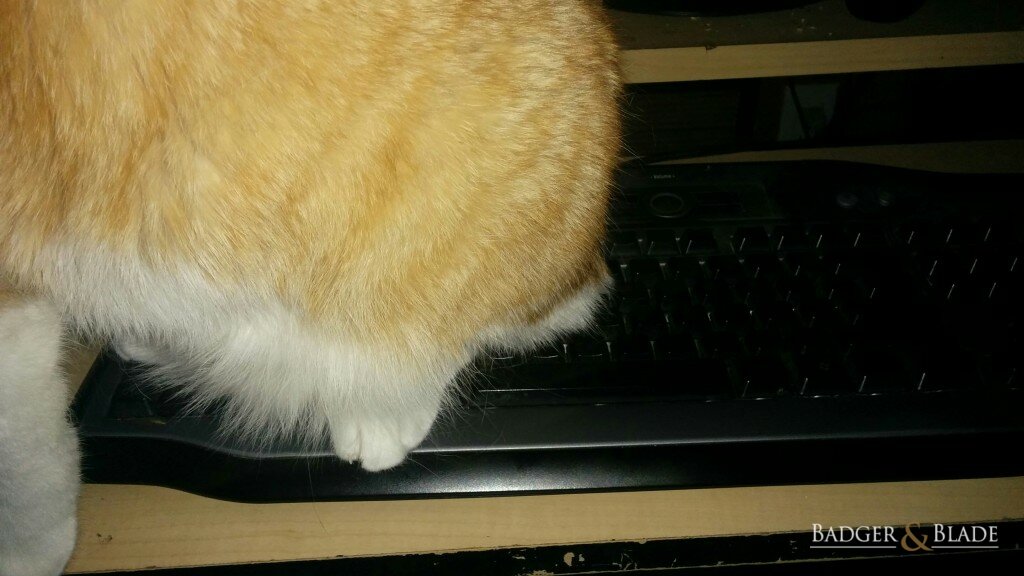 Keyboard Malfunctioning