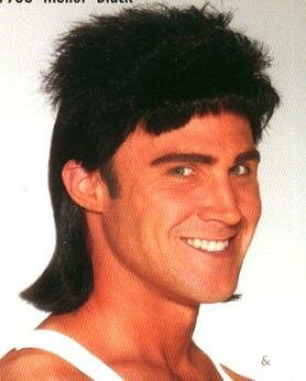 Mullet