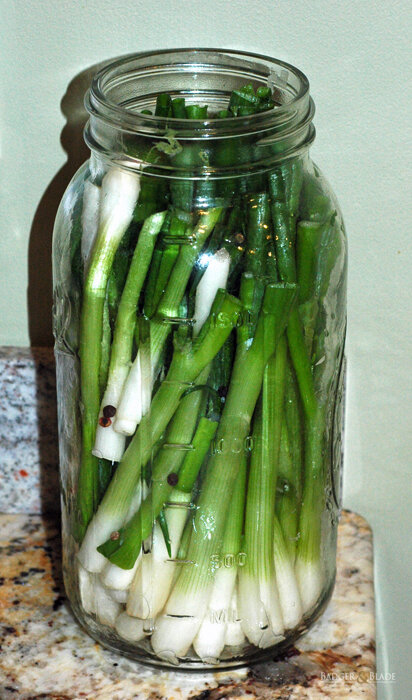 pickled green onion