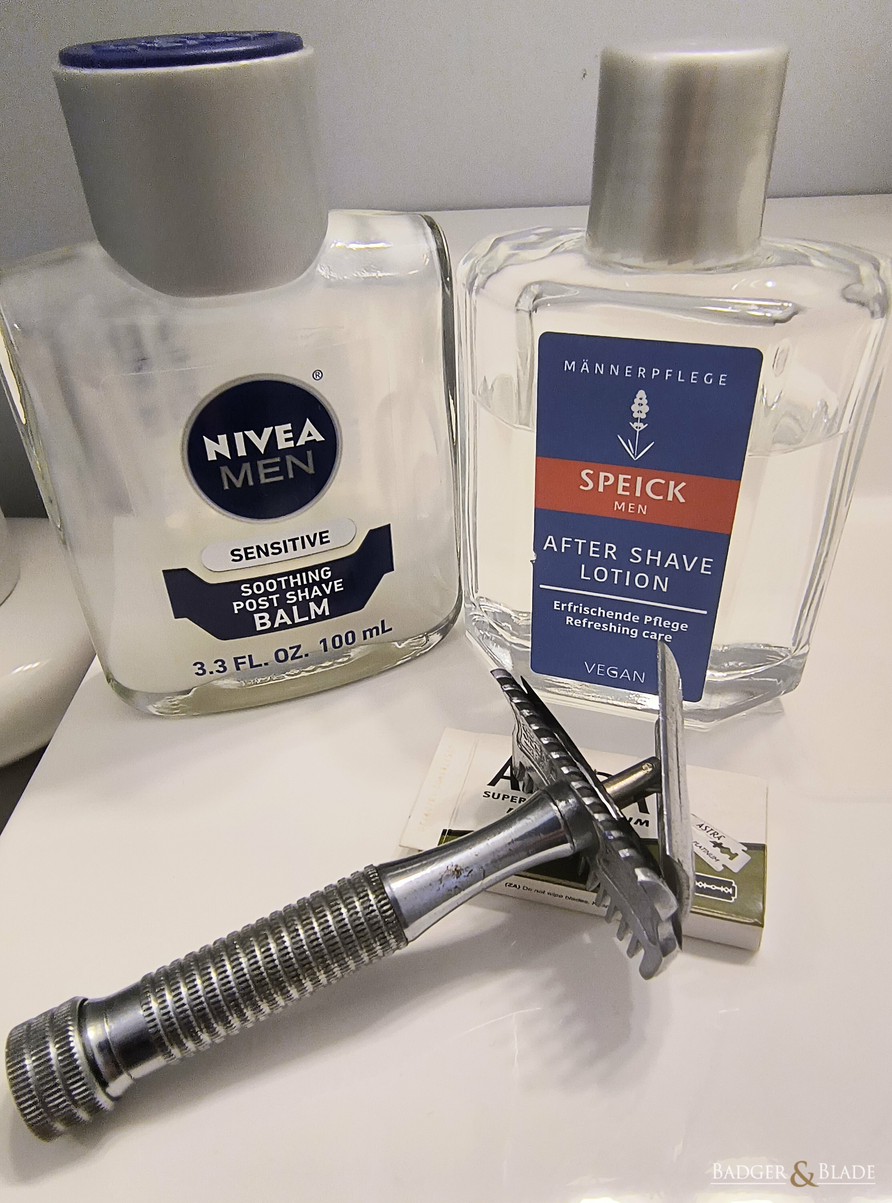 sotd_segal_03222023.jpg