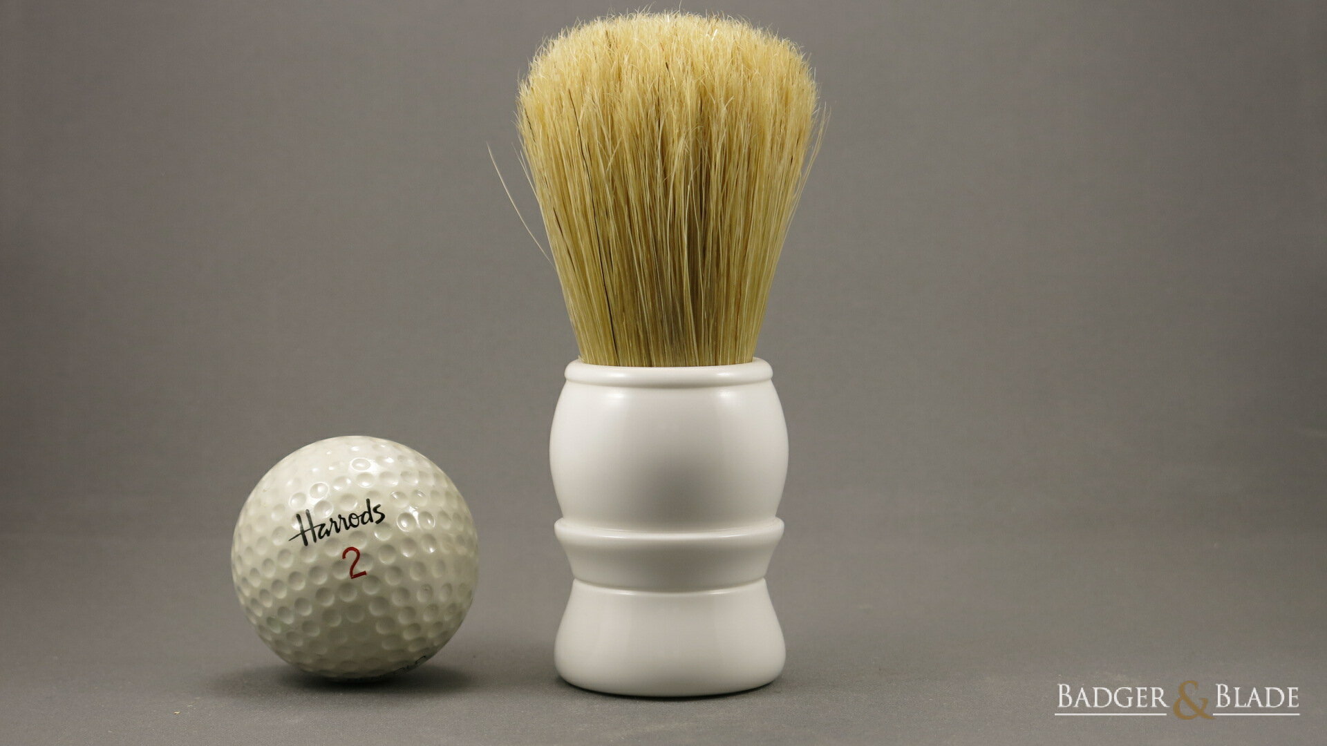 White Brush.JPG